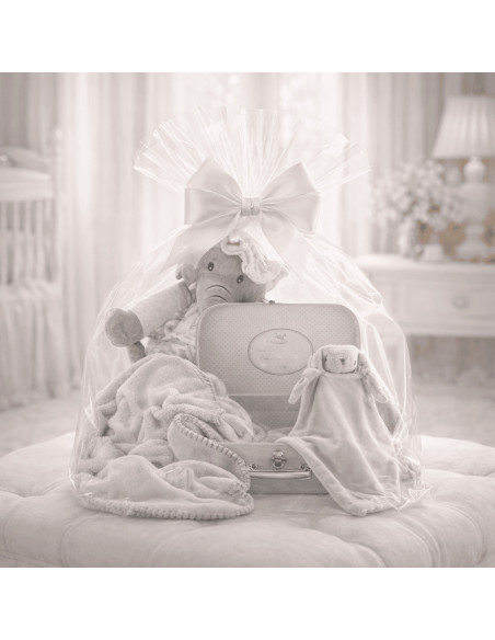 Personalisierter Babykoffer mit Decke & Schmusetuch | Stilvolles Geburtsgeschenk