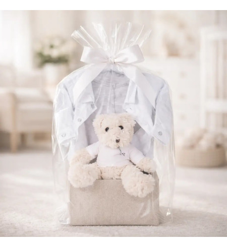 Vintage Geschenkset Hugo Boss für Babys | Exklusiver Geburtskorb