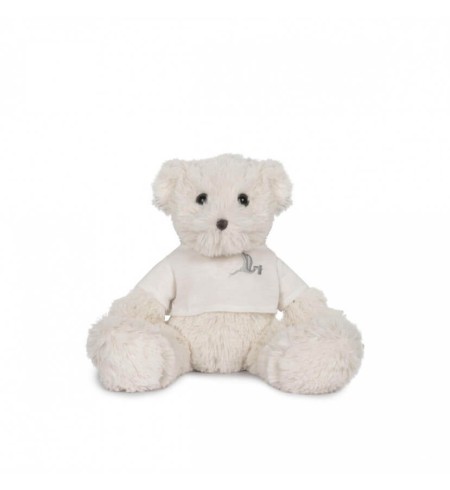 Canastilla Manta Bordada Oso Peluche y Conjunto Gorro y Calcetines 